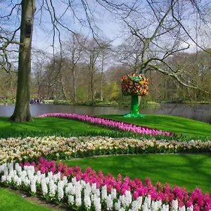  Bed & Breakfast Ineke En John Nederland